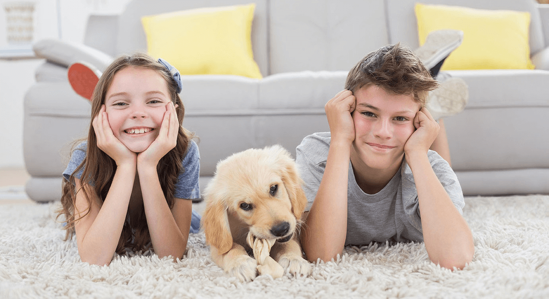 Shelby Township Carpet and Floors business image in Shelby Township, MI